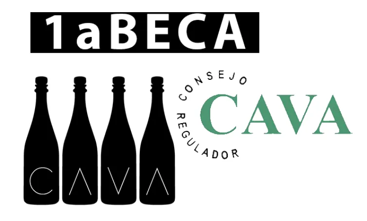 Texto alternativo aquí