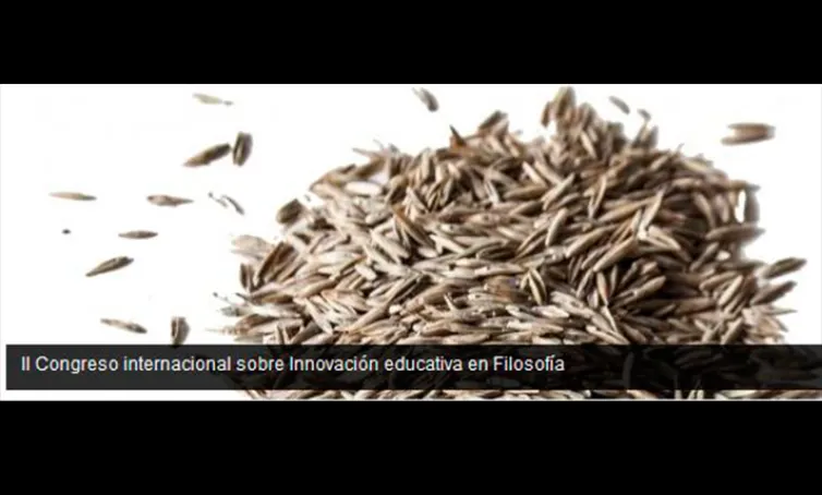 Texto alternativo aquí