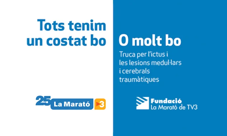 Texto alternativo aquí