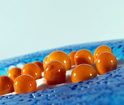 Escribà Microcredencial Carmel