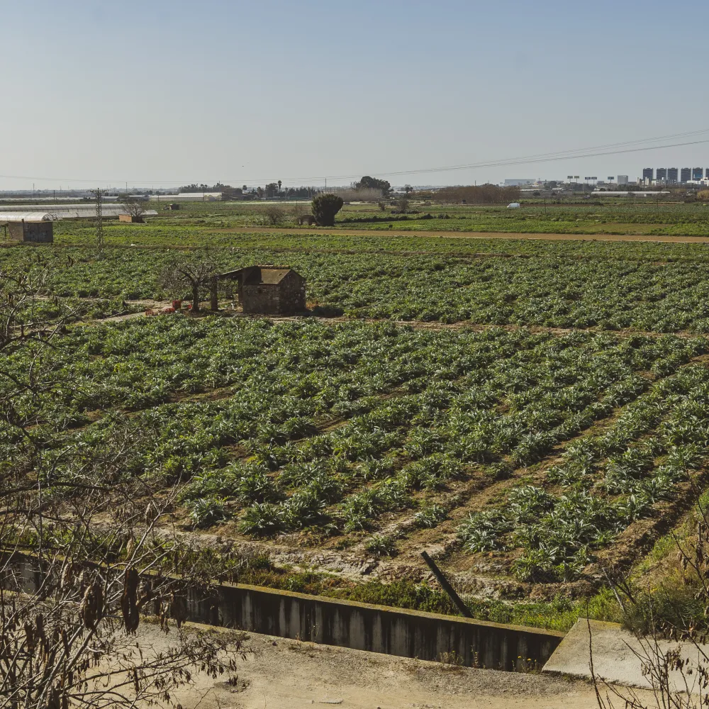 parc agrari del baix llobregat