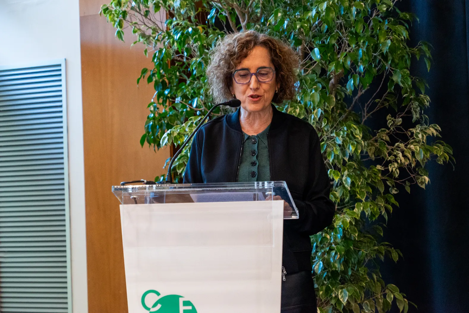 Persona en el atril dando un discurso