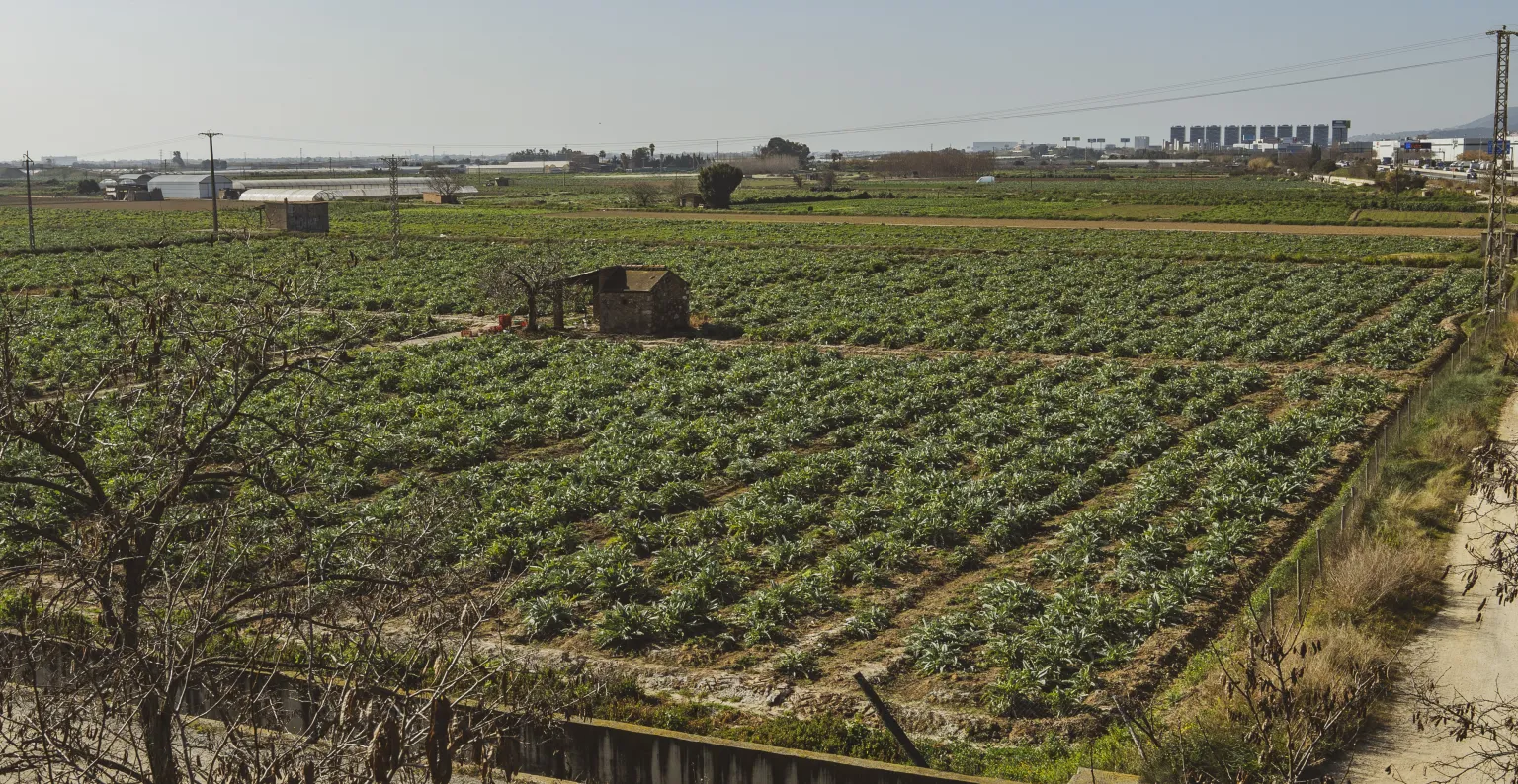 parc agrari del baix llobregat