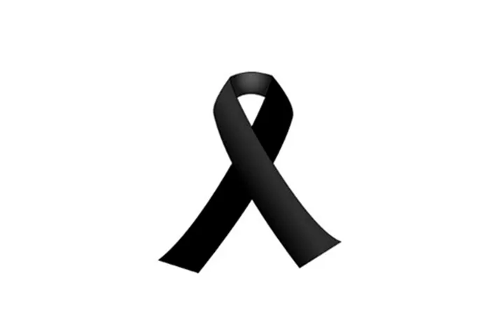 Texto alternativo aquí