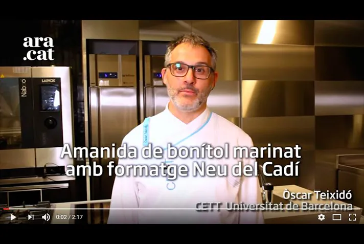 Texto alternativo aquí